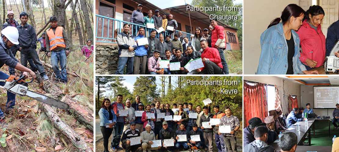 Training on safe operation and maintenance of Power Chainsaw