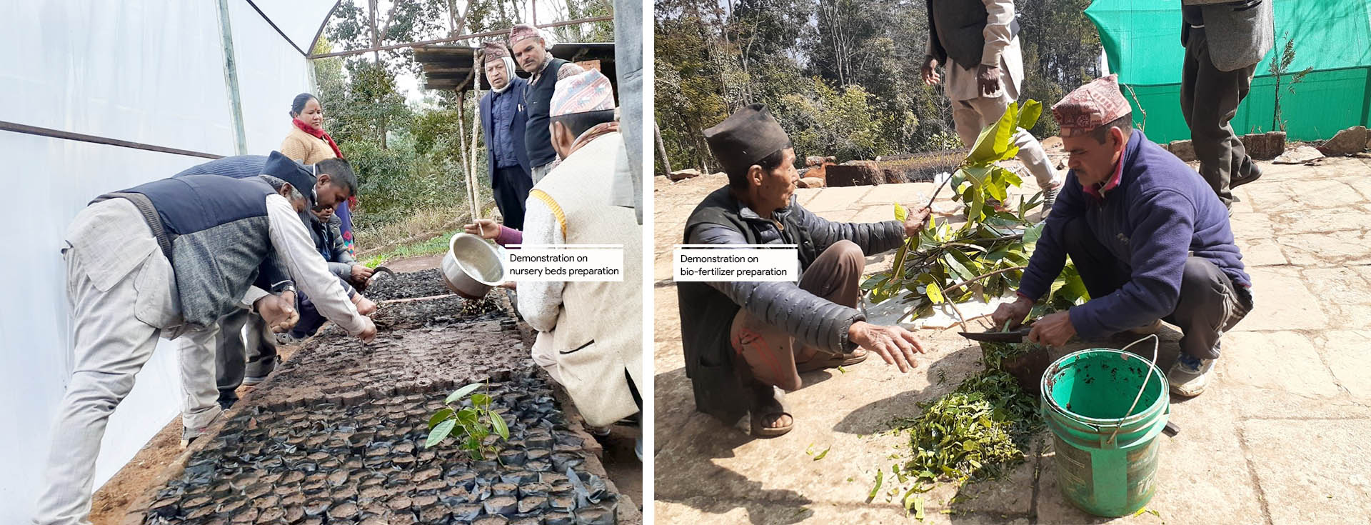 Nursery Management and Development Training Enhancing Livelihoods and